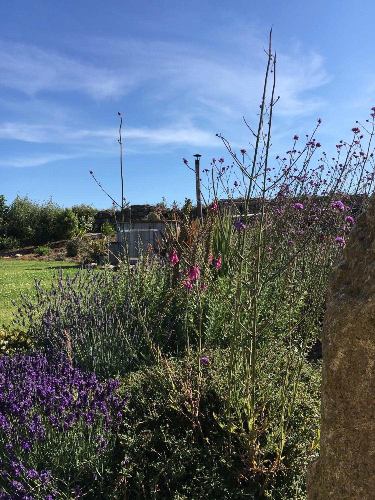 Trengothal Barn Apartment Porthcurno ภายนอก รูปภาพ