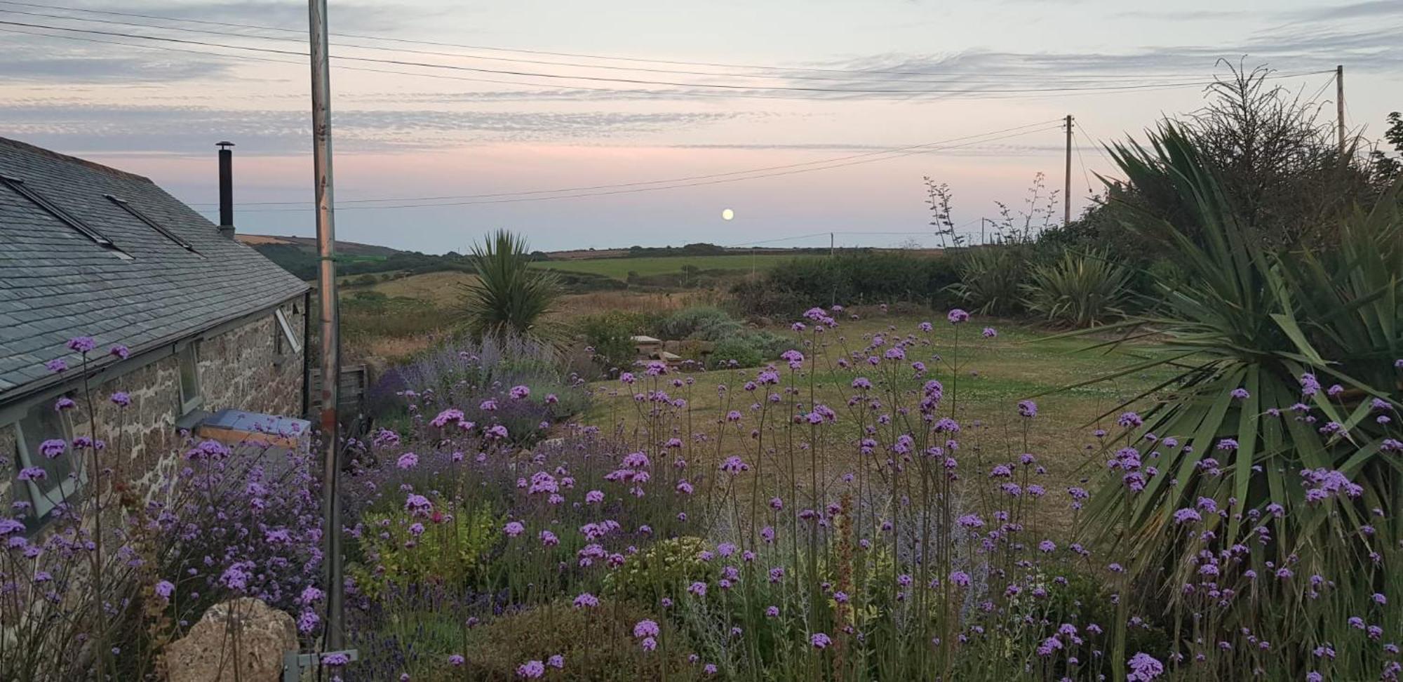 Trengothal Barn Apartment Porthcurno ภายนอก รูปภาพ