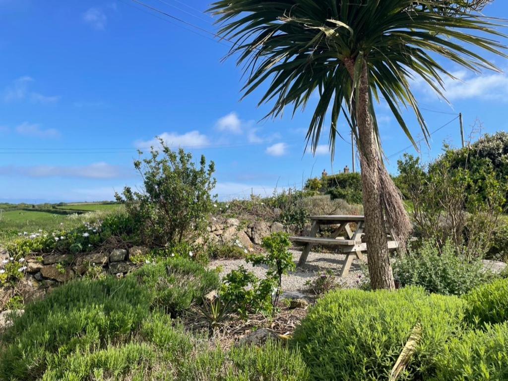 Trengothal Barn Apartment Porthcurno ภายนอก รูปภาพ