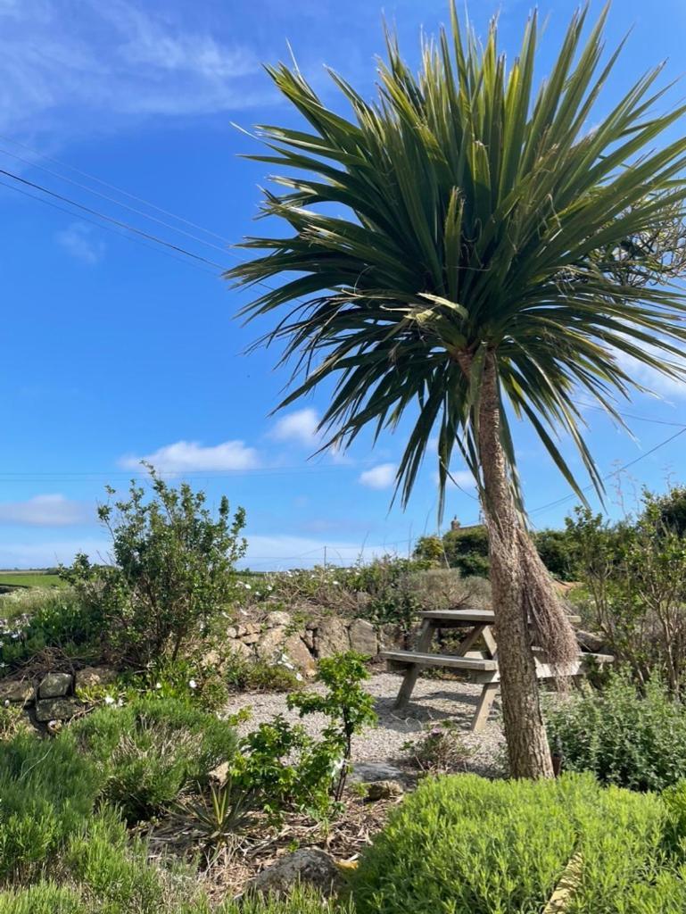 Trengothal Barn Apartment Porthcurno ภายนอก รูปภาพ